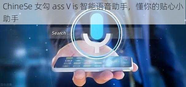 ChineSe 女勾 assⅤis 智能语音助手，懂你的贴心小助手