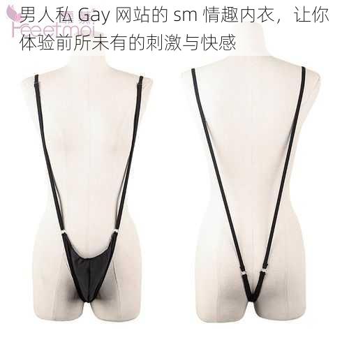 男人私 Gay 网站的 sm 情趣内衣,让你体验前所未有的刺激与快感