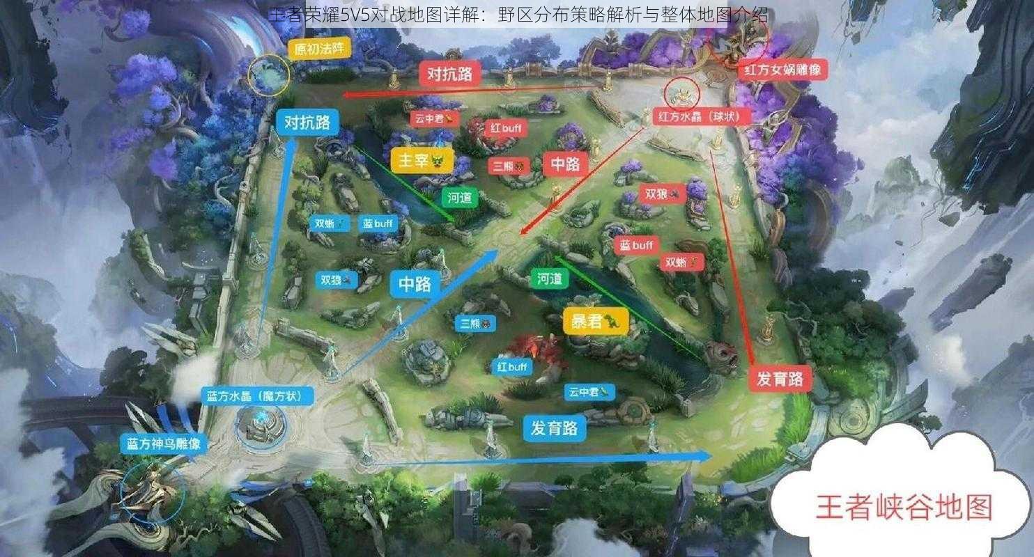 王者荣耀5V5对战地图详解：野区分布策略解析与整体地图介绍