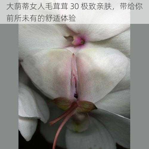 大荫蒂女人毛茸茸 30 极致亲肤，带给你前所未有的舒适体验