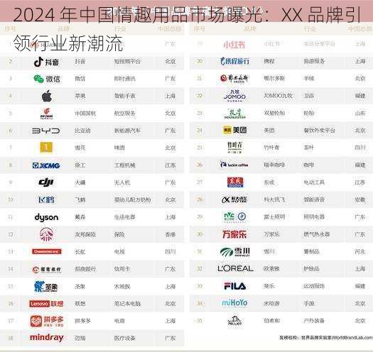 2024 年中国情趣用品市场曝光：XX 品牌引领行业新潮流