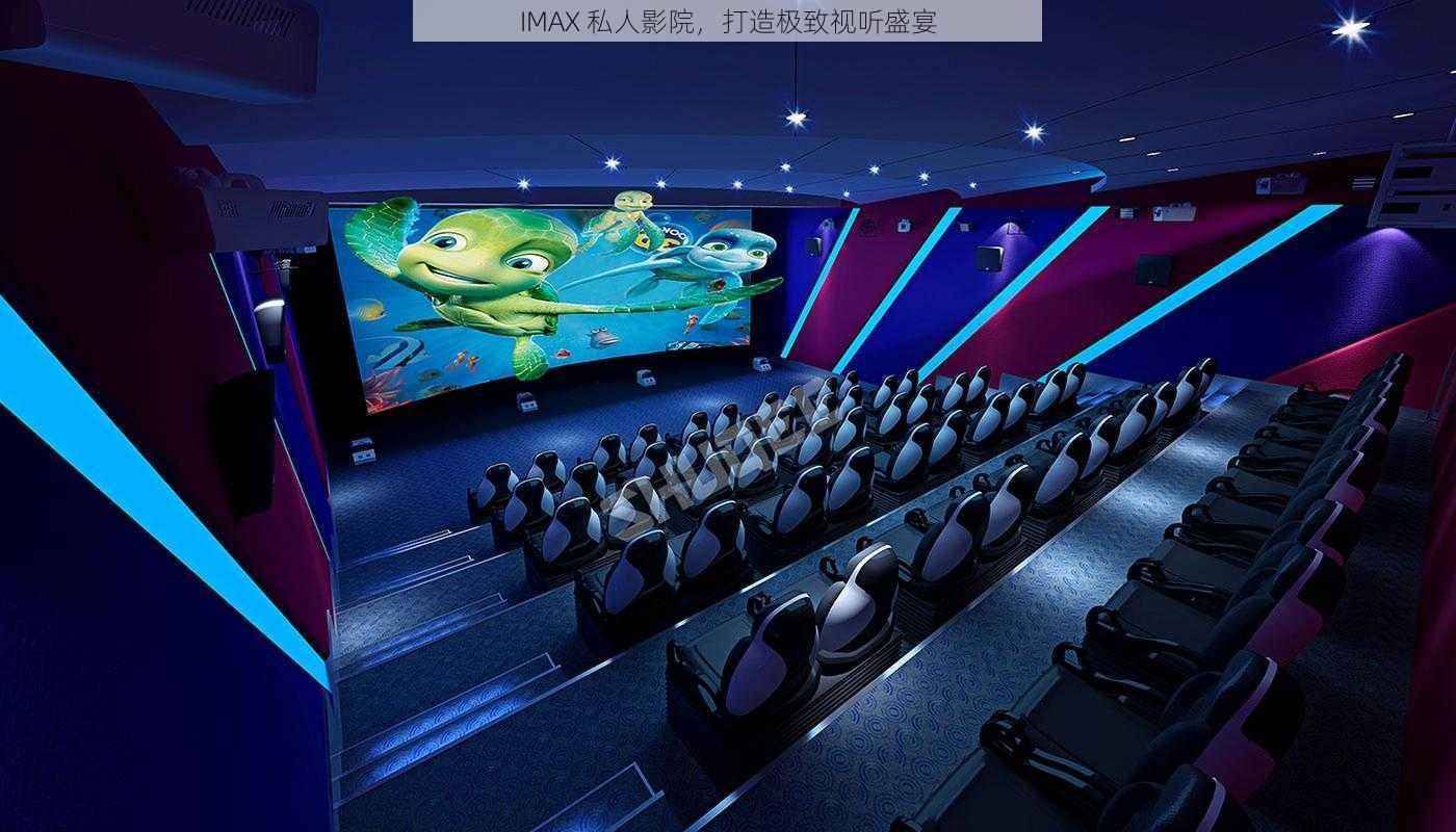 IMAX 私人影院，打造极致视听盛宴