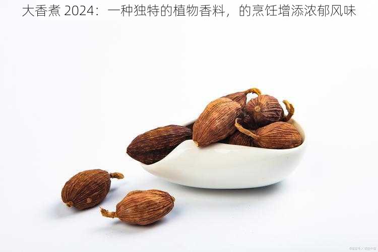 大香煮 2024：一种独特的植物香料，的烹饪增添浓郁风味