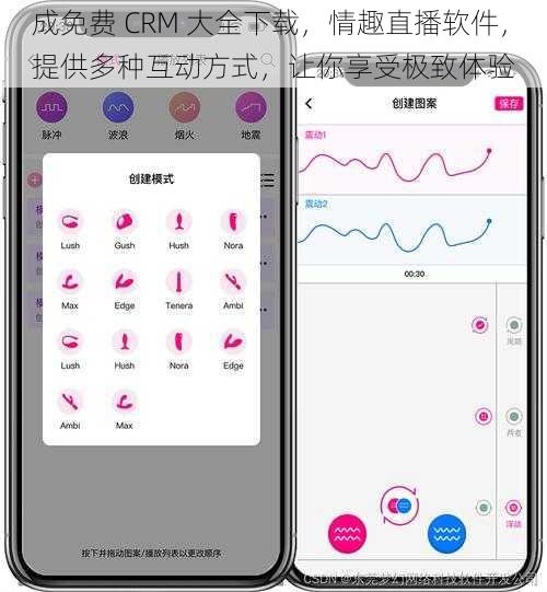 成免费 CRM 大全下载，情趣直播软件，提供多种互动方式，让你享受极致体验
