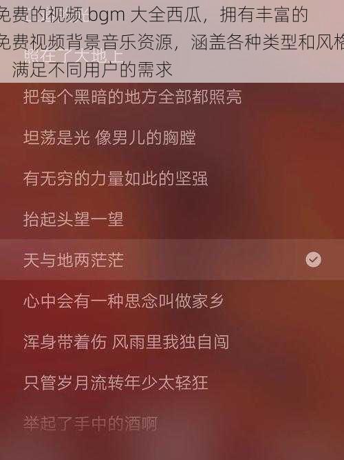 免费的视频 bgm 大全西瓜，拥有丰富的免费视频背景音乐资源，涵盖各种类型和风格，满足不同用户的需求