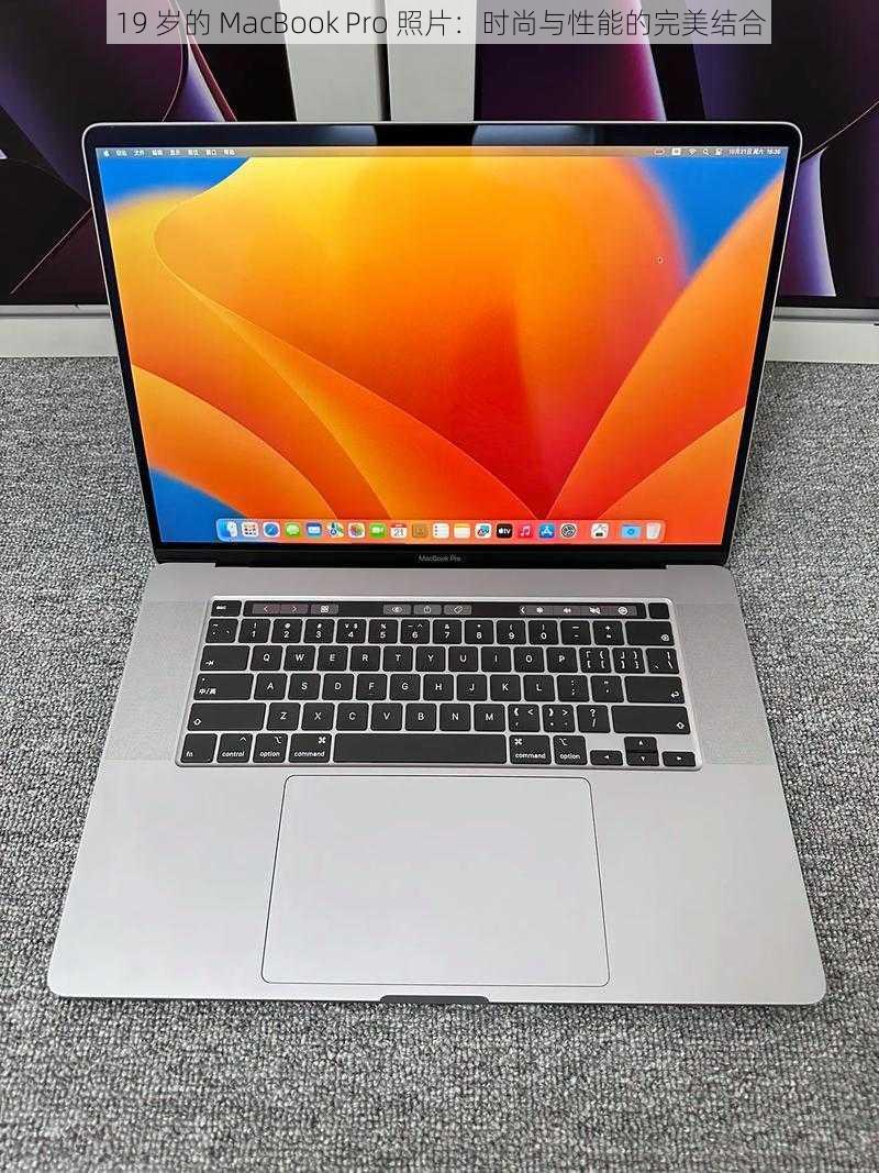 19 岁的 MacBook Pro 照片：时尚与性能的完美结合