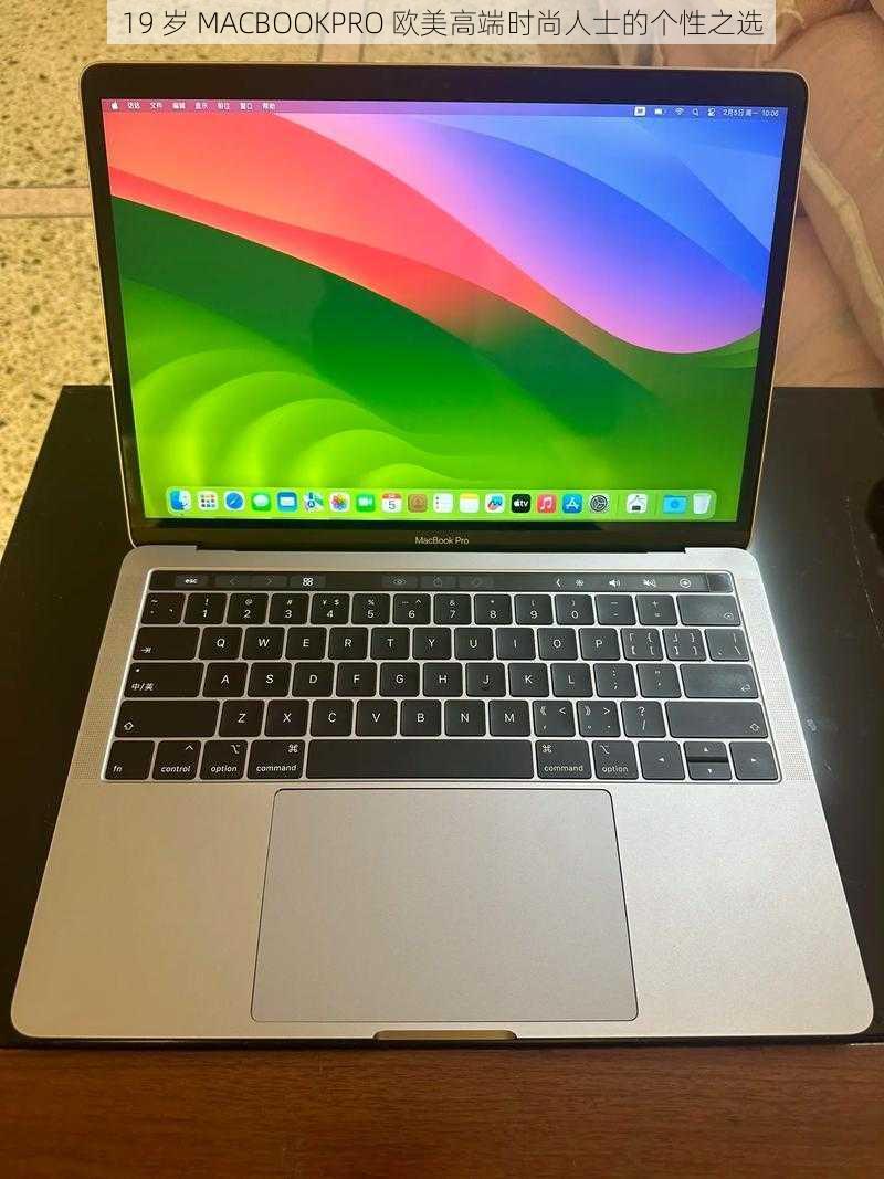 19 岁 MACBOOKPRO 欧美高端时尚人士的个性之选