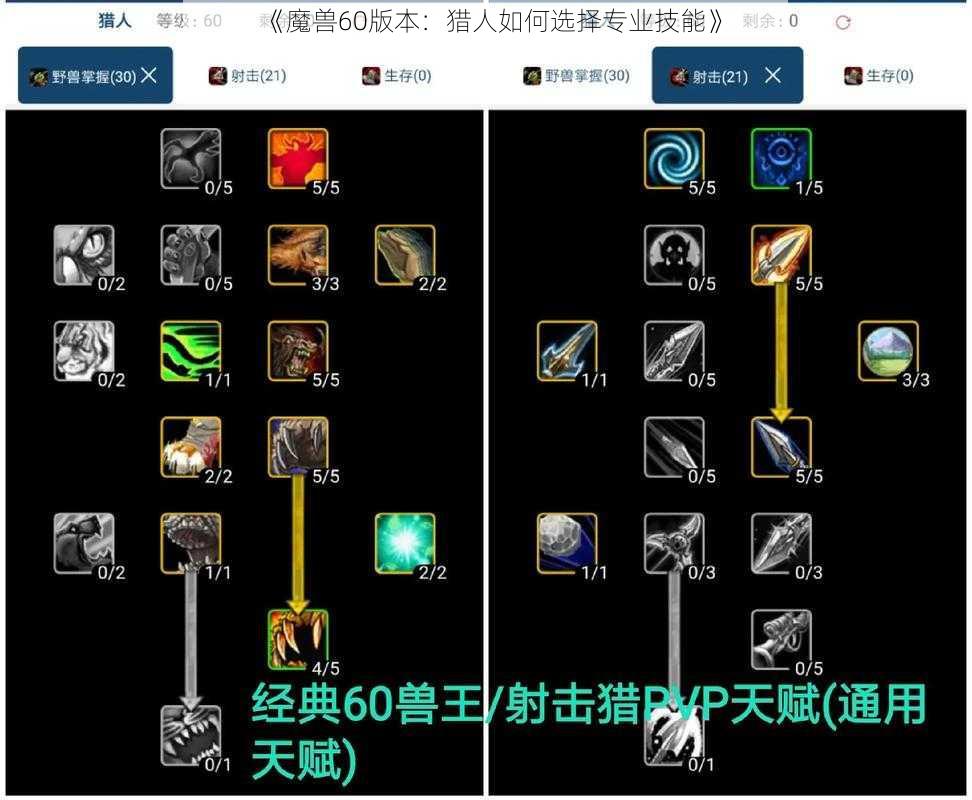 《魔兽60版本：猎人如何选择专业技能》