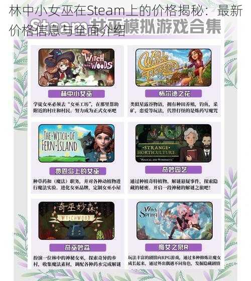 林中小女巫在Steam上的价格揭秘：最新价格信息与全面介绍