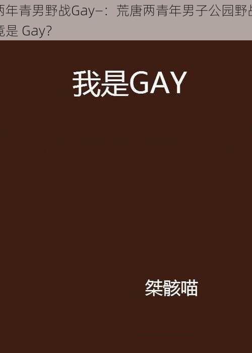 两年青男野战Gay—：荒唐两青年男子公园野战竟是 Gay？