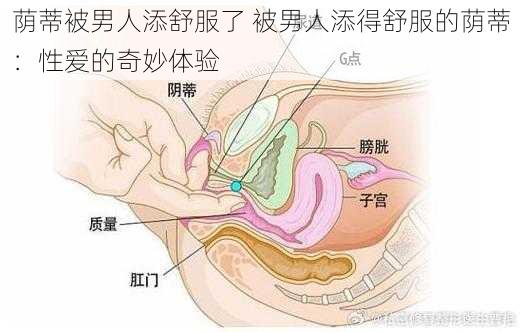 荫蒂被男人添舒服了 被男人添得舒服的荫蒂：性爱的奇妙体验