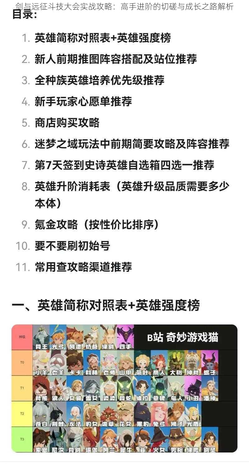 剑与远征斗技大会实战攻略：高手进阶的切磋与成长之路解析