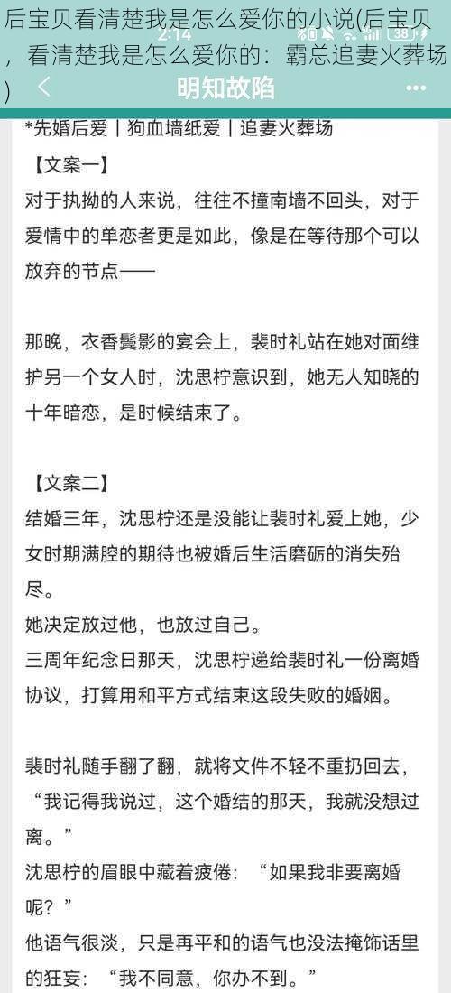 后宝贝看清楚我是怎么爱你的小说(后宝贝，看清楚我是怎么爱你的：霸总追妻火葬场)