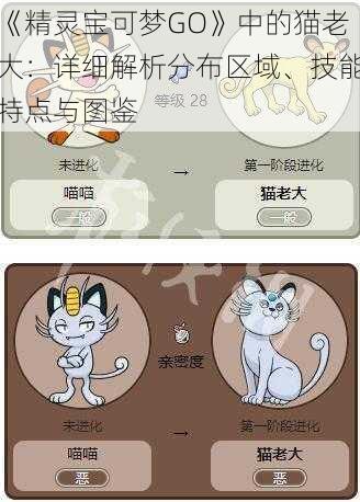 《精灵宝可梦GO》中的猫老大：详细解析分布区域、技能特点与图鉴