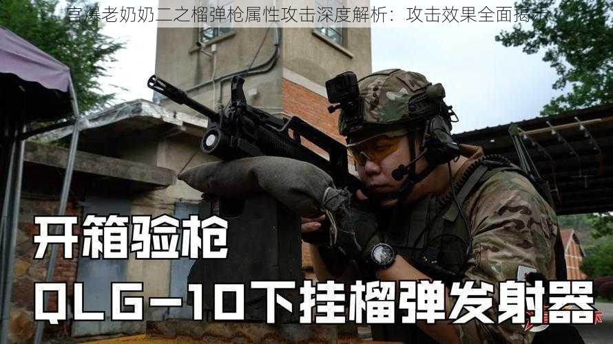 宫爆老奶奶二之榴弹枪属性攻击深度解析：攻击效果全面揭示