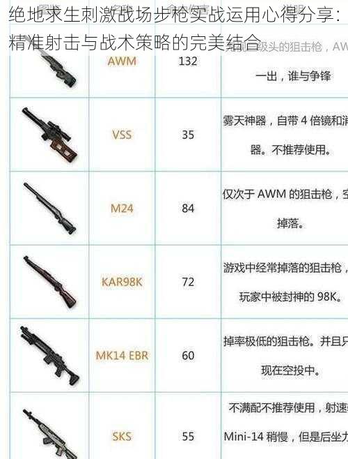 绝地求生刺激战场步枪实战运用心得分享：精准射击与战术策略的完美结合