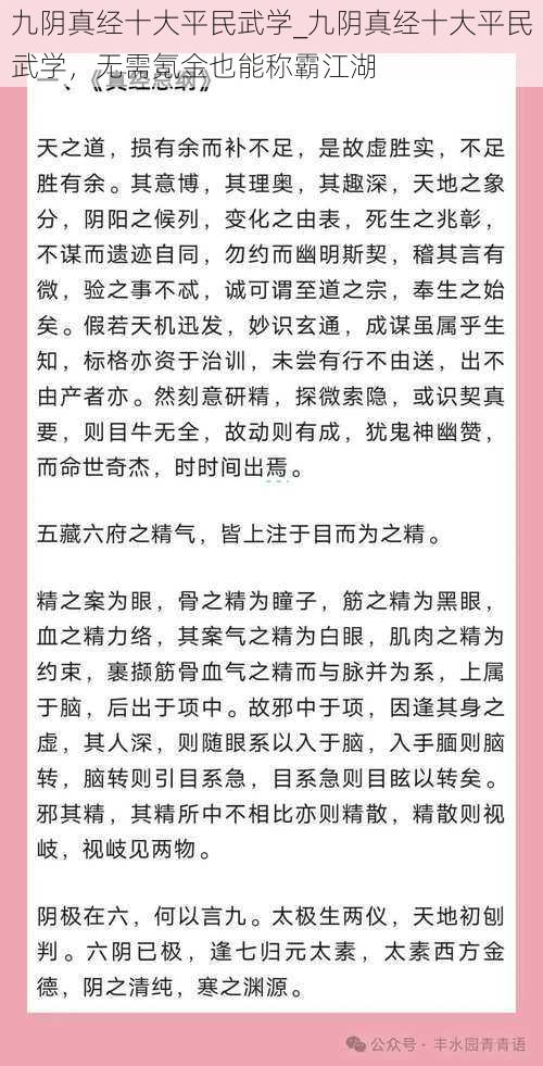 九阴真经十大平民武学_九阴真经十大平民武学，无需氪金也能称霸江湖