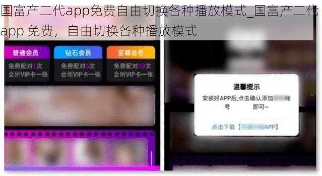 国富产二代app免费自由切换各种播放模式_国富产二代 app 免费，自由切换各种播放模式