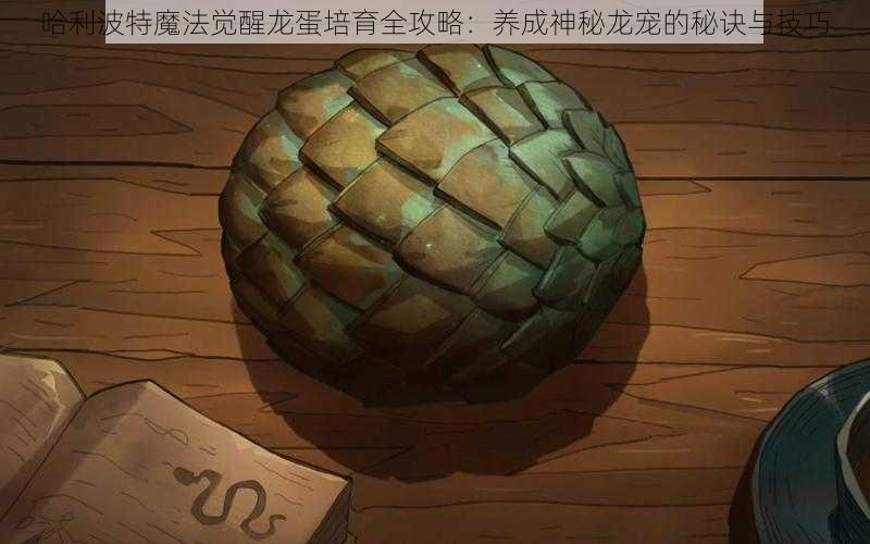 哈利波特魔法觉醒龙蛋培育全攻略：养成神秘龙宠的秘诀与技巧