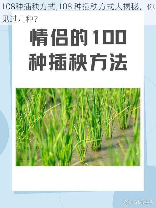 108种插秧方式,108 种插秧方式大揭秘，你见过几种？