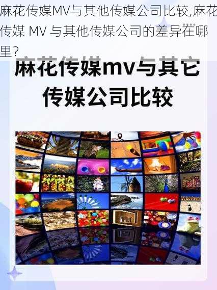 麻花传媒MV与其他传媒公司比较,麻花传媒 MV 与其他传媒公司的差异在哪里？