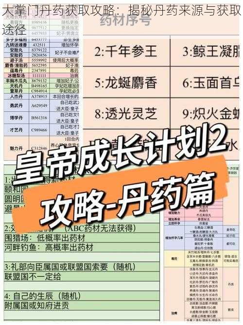 大掌门丹药获取攻略：揭秘丹药来源与获取途径