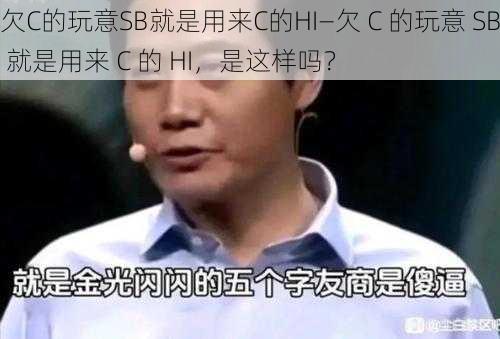 欠C的玩意SB就是用来C的HI—欠 C 的玩意 SB 就是用来 C 的 HI，是这样吗？