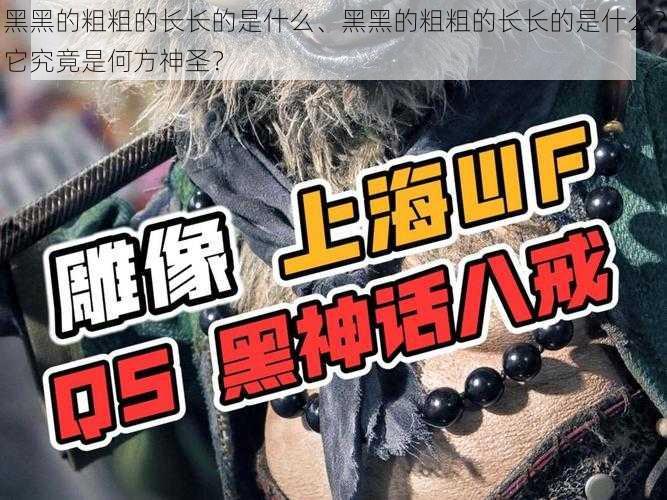 黑黑的粗粗的长长的是什么、黑黑的粗粗的长长的是什么？它究竟是何方神圣？