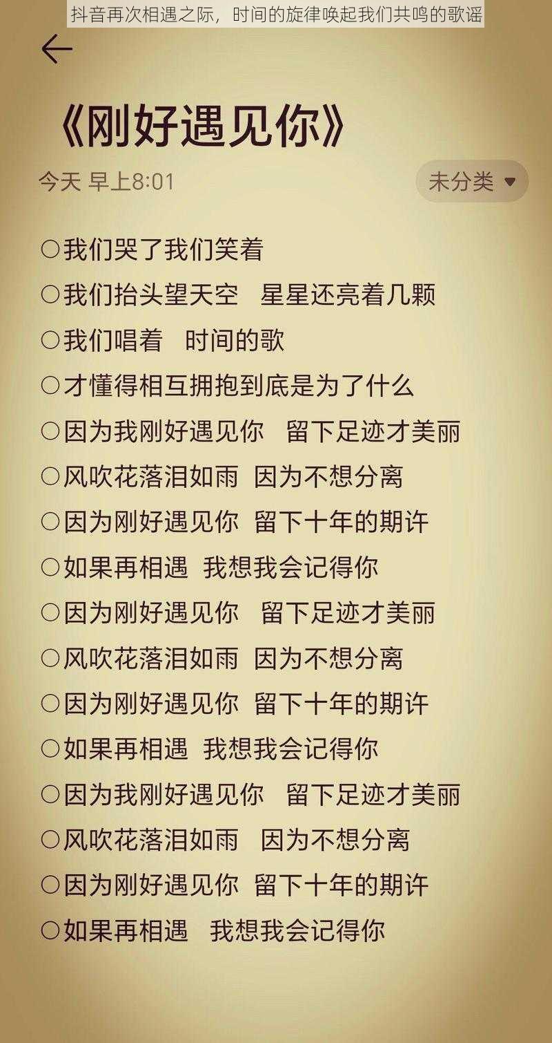 抖音再次相遇之际，时间的旋律唤起我们共鸣的歌谣