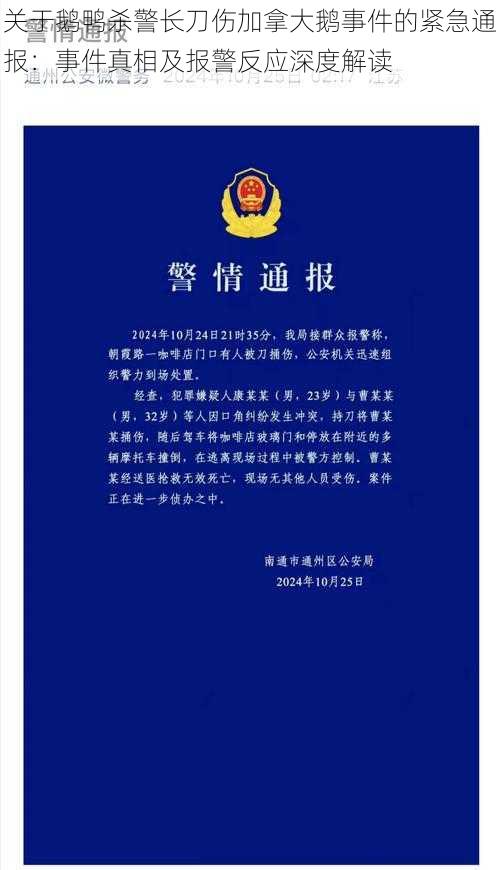 关于鹅鸭杀警长刀伤加拿大鹅事件的紧急通报：事件真相及报警反应深度解读