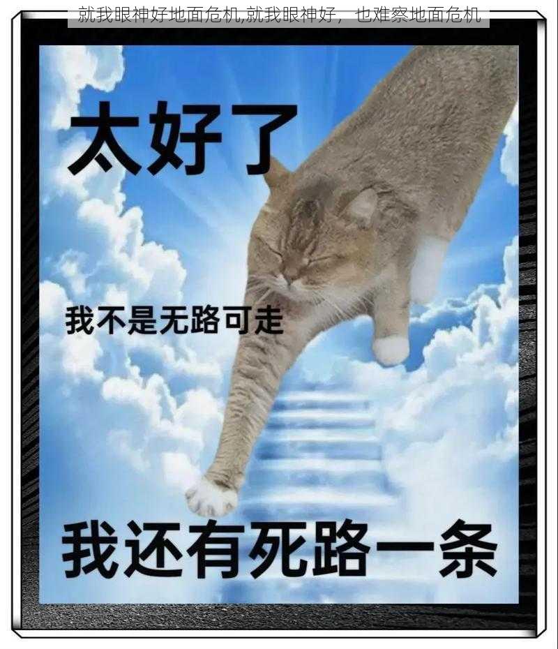 就我眼神好地面危机,就我眼神好，也难察地面危机