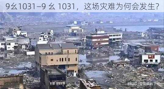 9幺1031—9 幺 1031，这场灾难为何会发生？