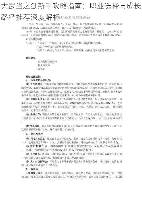 大武当之剑新手攻略指南：职业选择与成长路径推荐深度解析