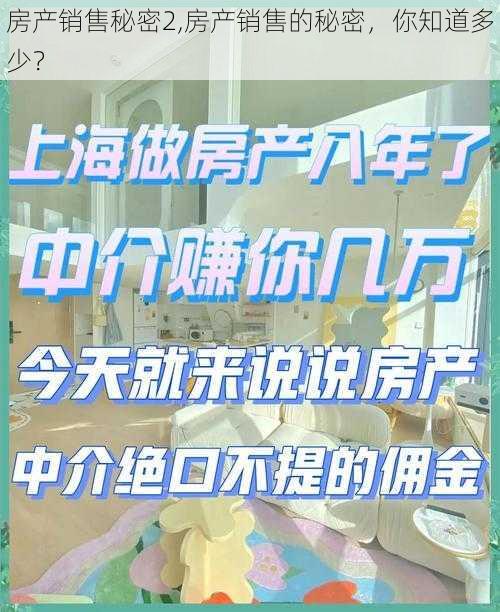 房产销售秘密2,房产销售的秘密，你知道多少？