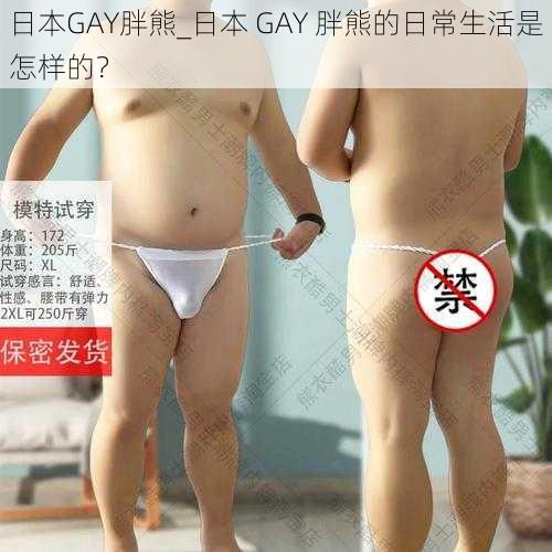 日本GAY胖熊_日本 GAY 胖熊的日常生活是怎样的？