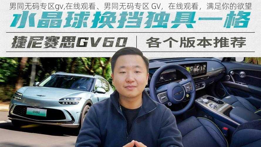 男同无码专区gv,在线观看、男同无码专区 GV，在线观看，满足你的欲望