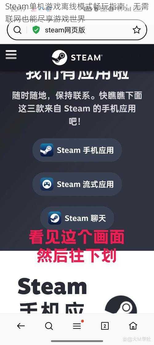 Steam单机游戏离线模式畅玩指南：无需联网也能尽享游戏世界