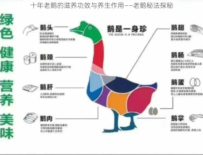 十年老鹅的滋养功效与养生作用——老鹅秘法探秘