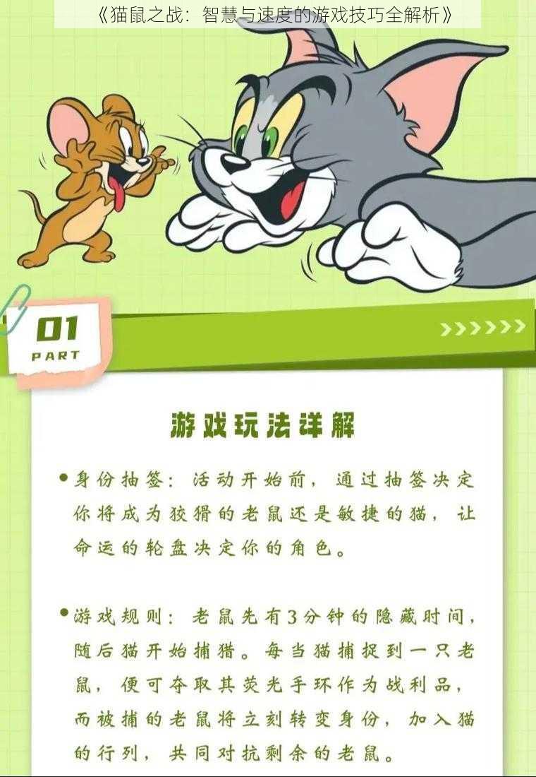 《猫鼠之战：智慧与速度的游戏技巧全解析》