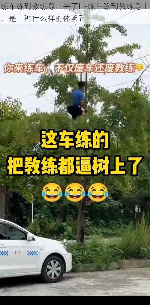 练车练到教练身上去了H-练车练到教练身上，是一种什么样的体验？