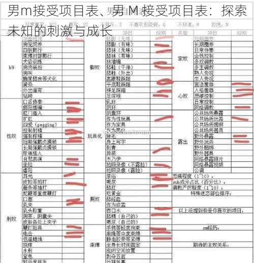 男m接受项目表、男 M 接受项目表：探索未知的刺激与成长