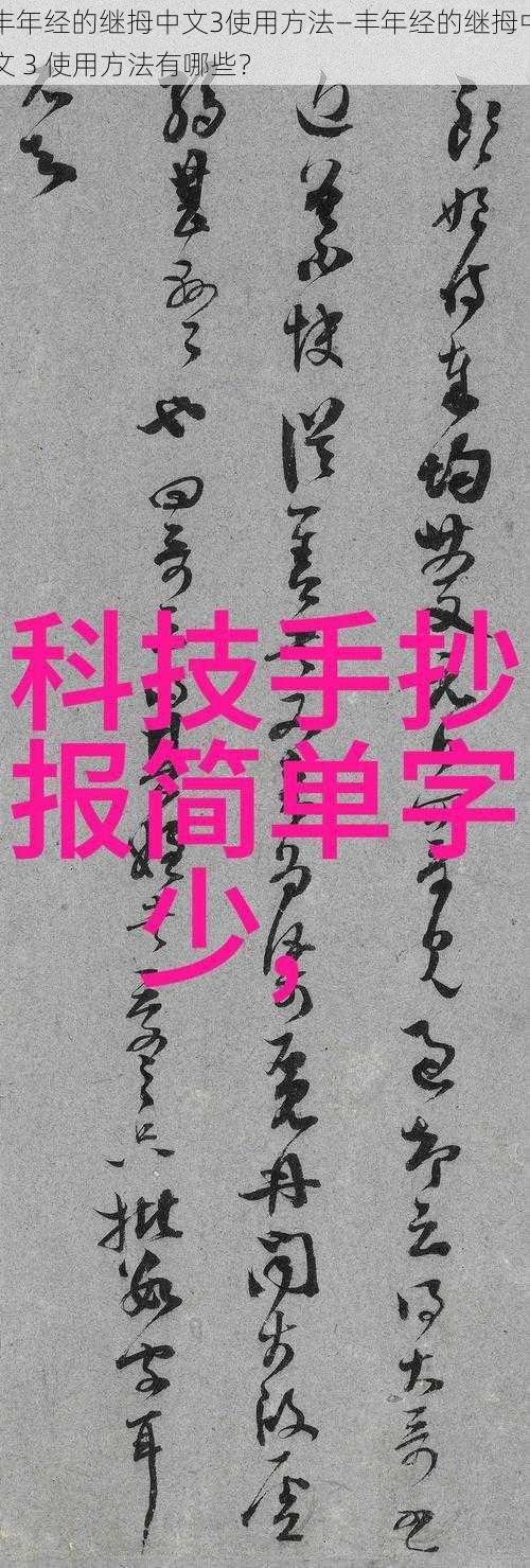 丰年经的继拇中文3使用方法—丰年经的继拇中文 3 使用方法有哪些？