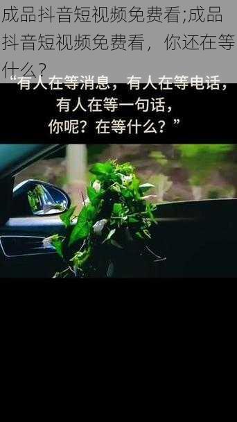 成品抖音短视频免费看;成品抖音短视频免费看，你还在等什么？