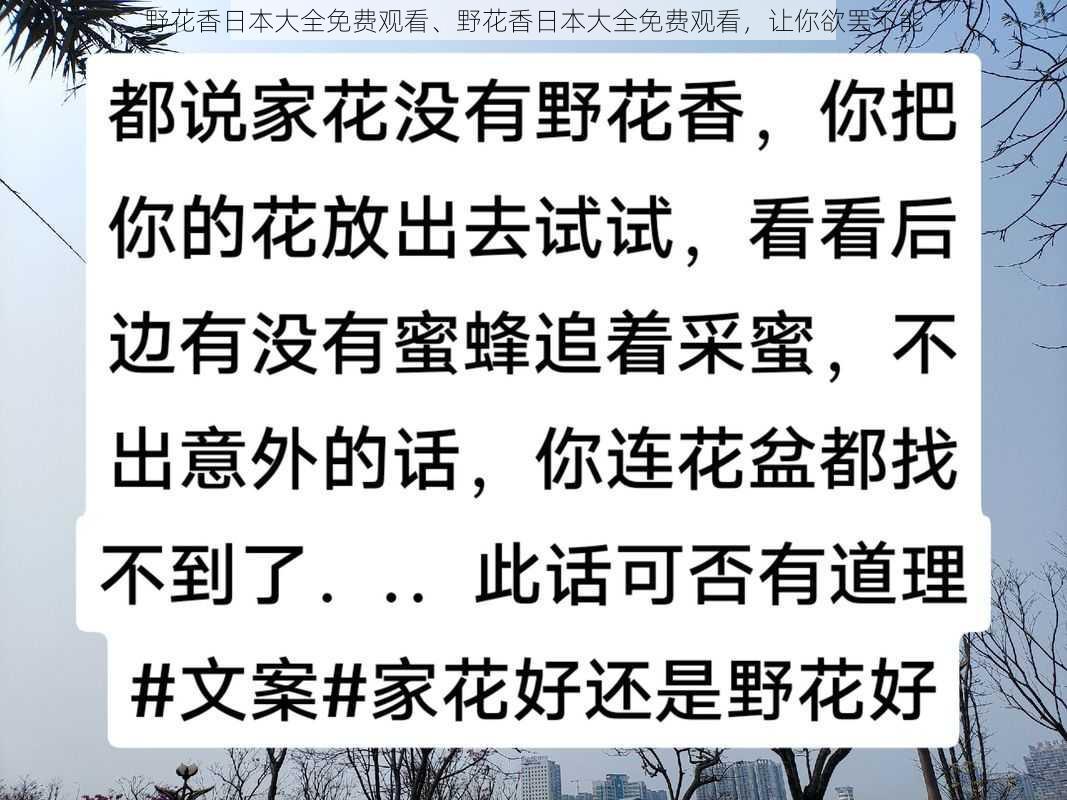 野花香日本大全免费观看、野花香日本大全免费观看，让你欲罢不能