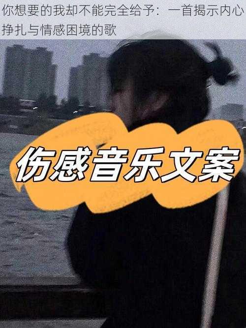 你想要的我却不能完全给予：一首揭示内心挣扎与情感困境的歌