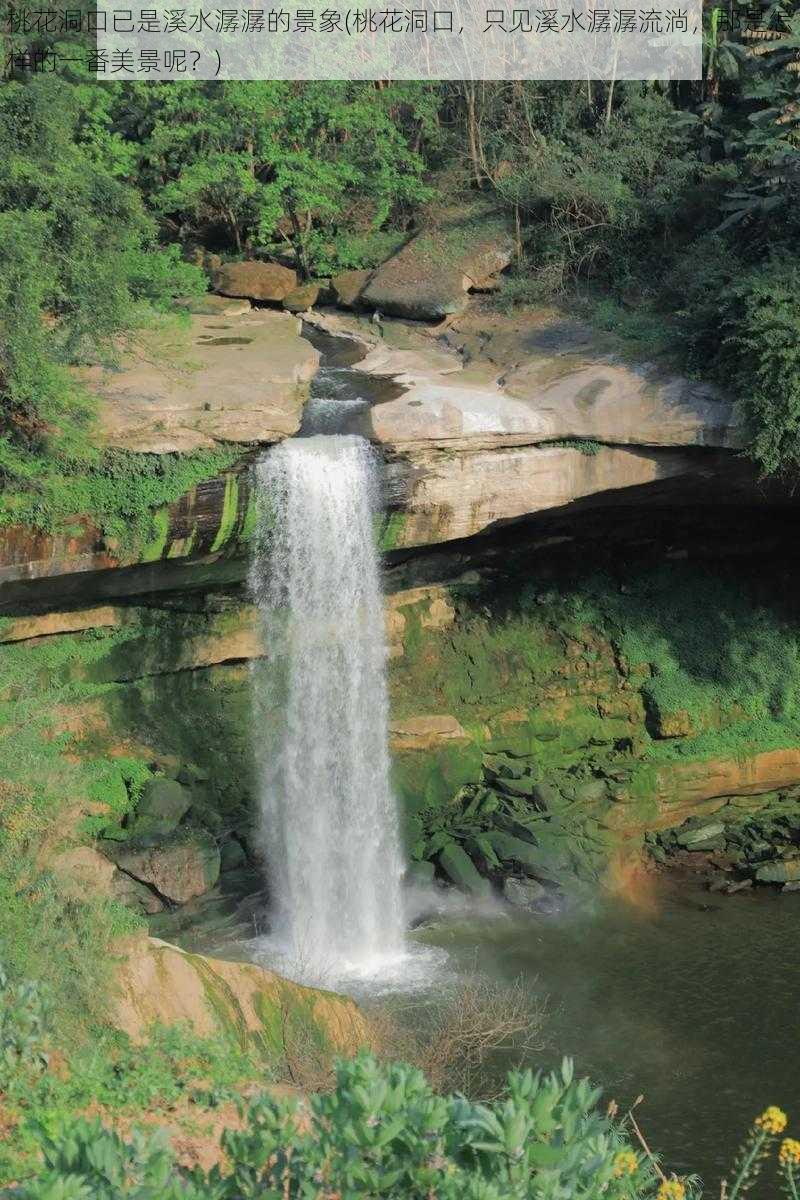 桃花洞口已是溪水潺潺的景象(桃花洞口，只见溪水潺潺流淌，那是怎样的一番美景呢？)