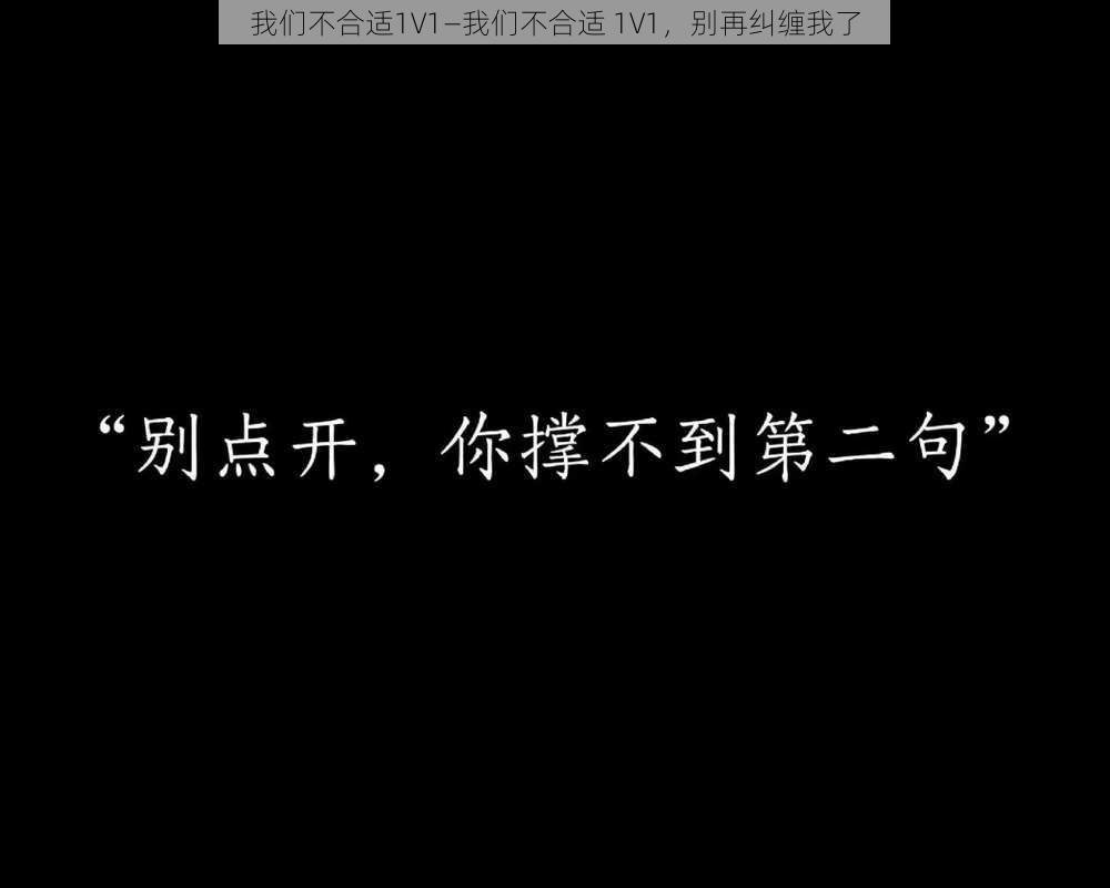 我们不合适1V1—我们不合适 1V1，别再纠缠我了