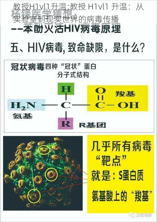 教授H1vl1升温;教授 H1vl1 升温：从实验室到现实世界的病毒传播