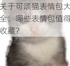 关于可颂猫表情包大全：哪些表情包值得收藏？