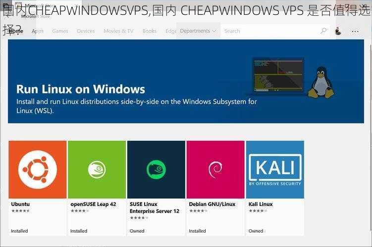 国内CHEAPWINDOWSVPS,国内 CHEAPWINDOWS VPS 是否值得选择？